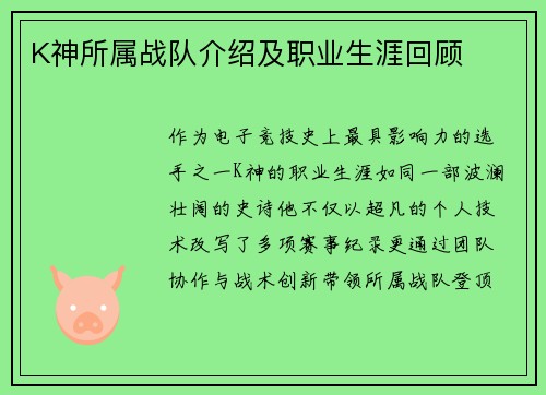 K神所属战队介绍及职业生涯回顾